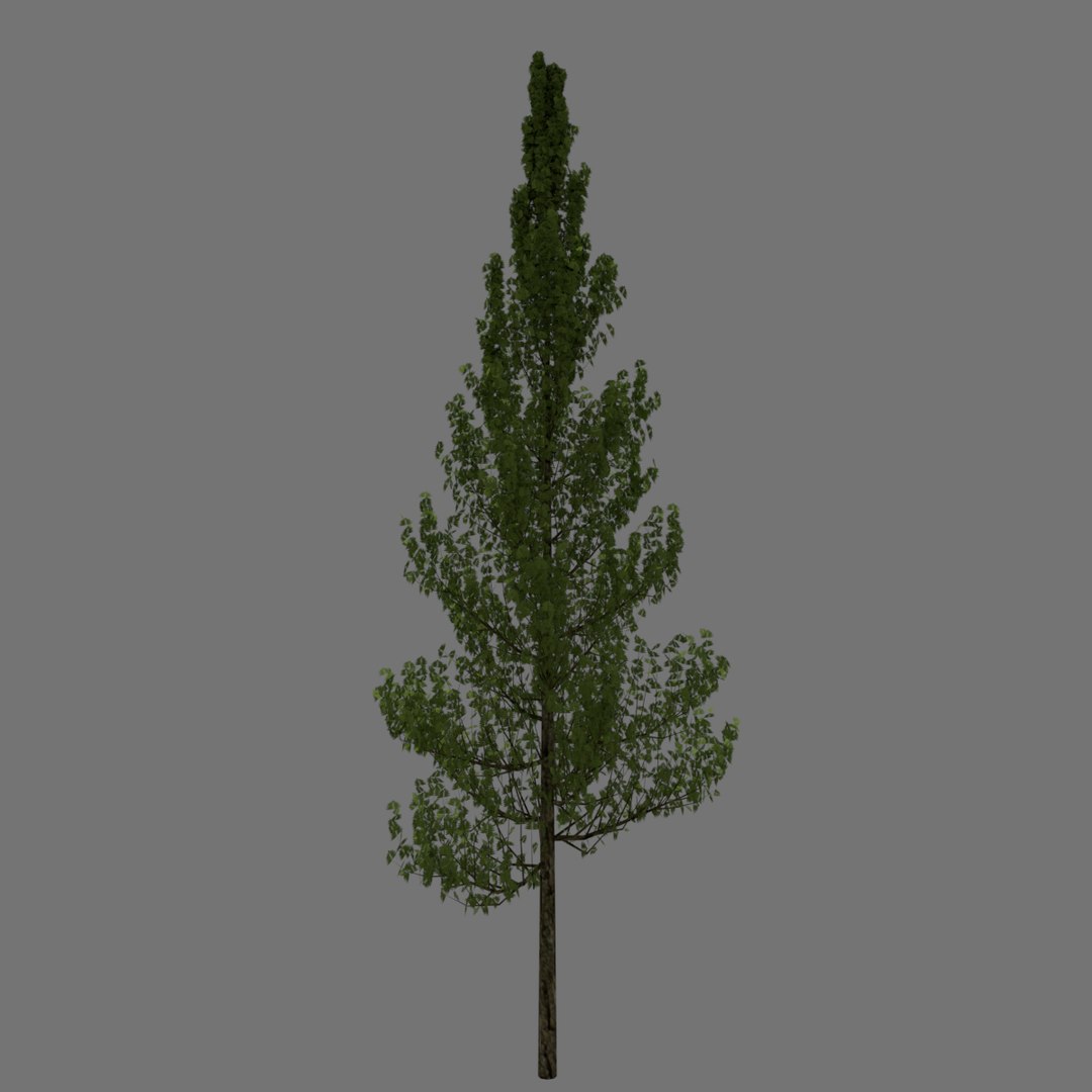 3d basic tree https://p.turbosquid.com/ts-thumb/wG/cI3eIA/OS41pqiS/image3/png/1473462106/1920x1080/fit_q87/038681f7e1a2949e9b08703b28f0ae5d7c717b82/image3.jpg