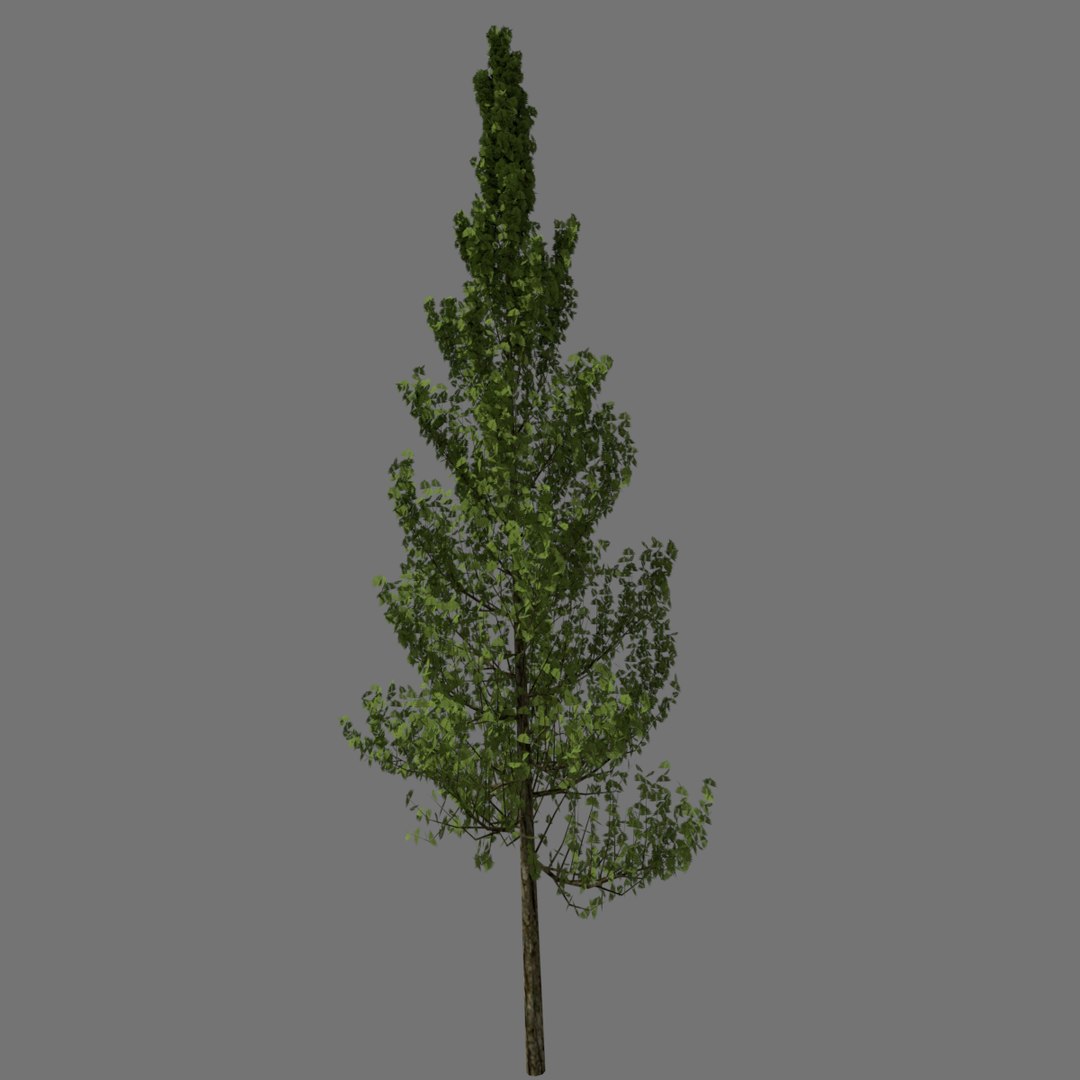 3d basic tree https://p.turbosquid.com/ts-thumb/wG/cI3eIA/usLt1zce/image2/png/1473462106/1920x1080/fit_q87/d0682200faebf0696525205a06c0ff52a4c76115/image2.jpg