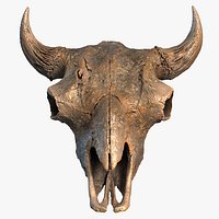 Buffalo Skull 3D Low Poly Model