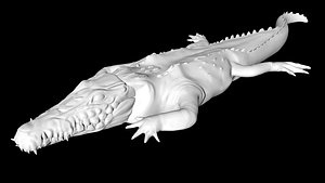 crocodile