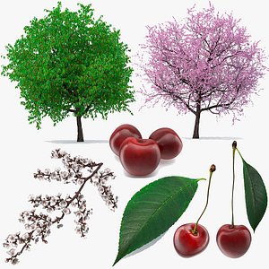 3D Cherry Trees and Fruits Collection