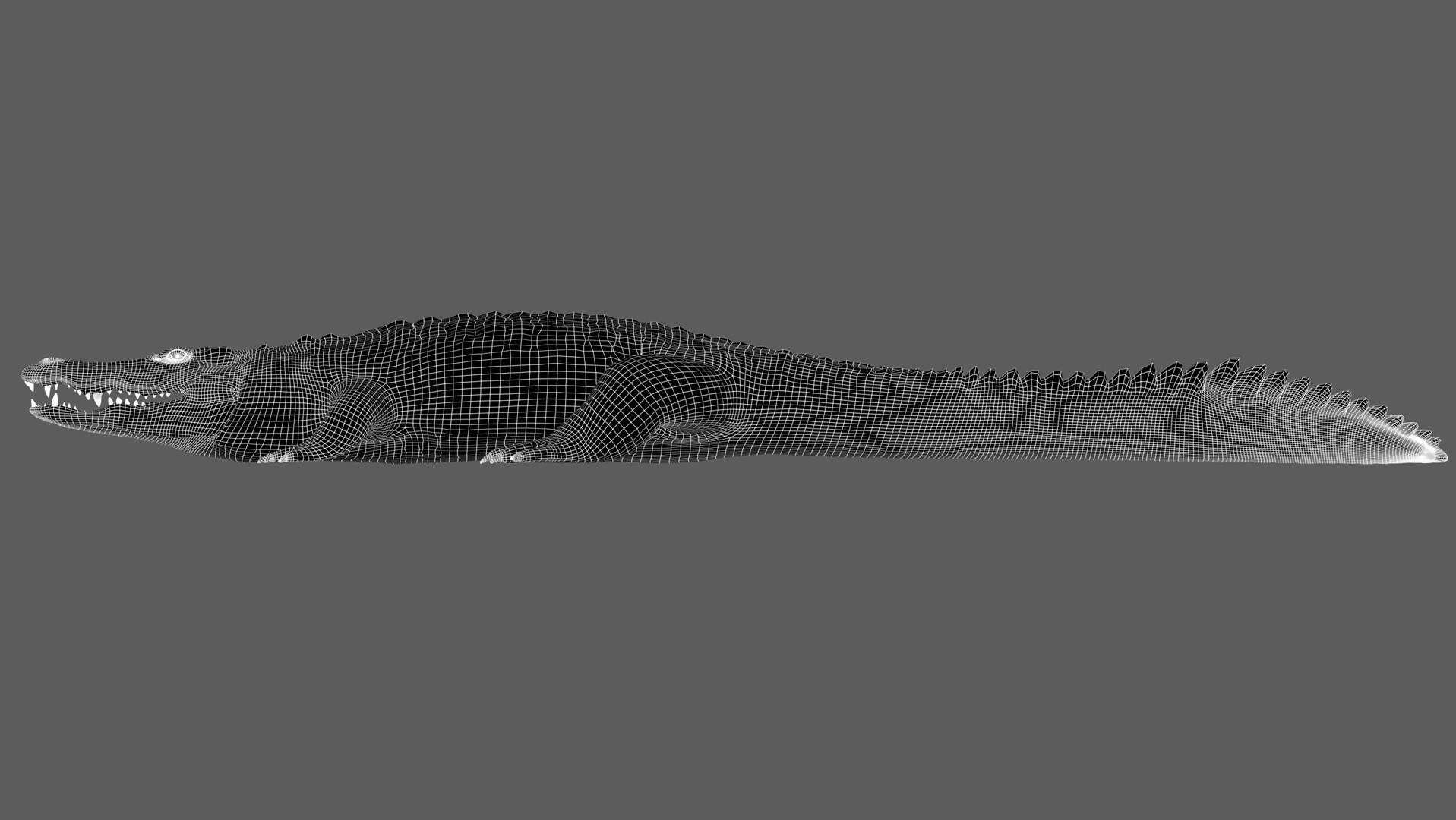 3D Crocodile RIG - TurboSquid 2147869