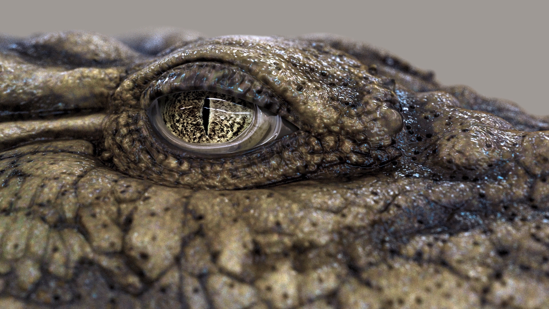 3D Crocodile RIG - TurboSquid 2147869