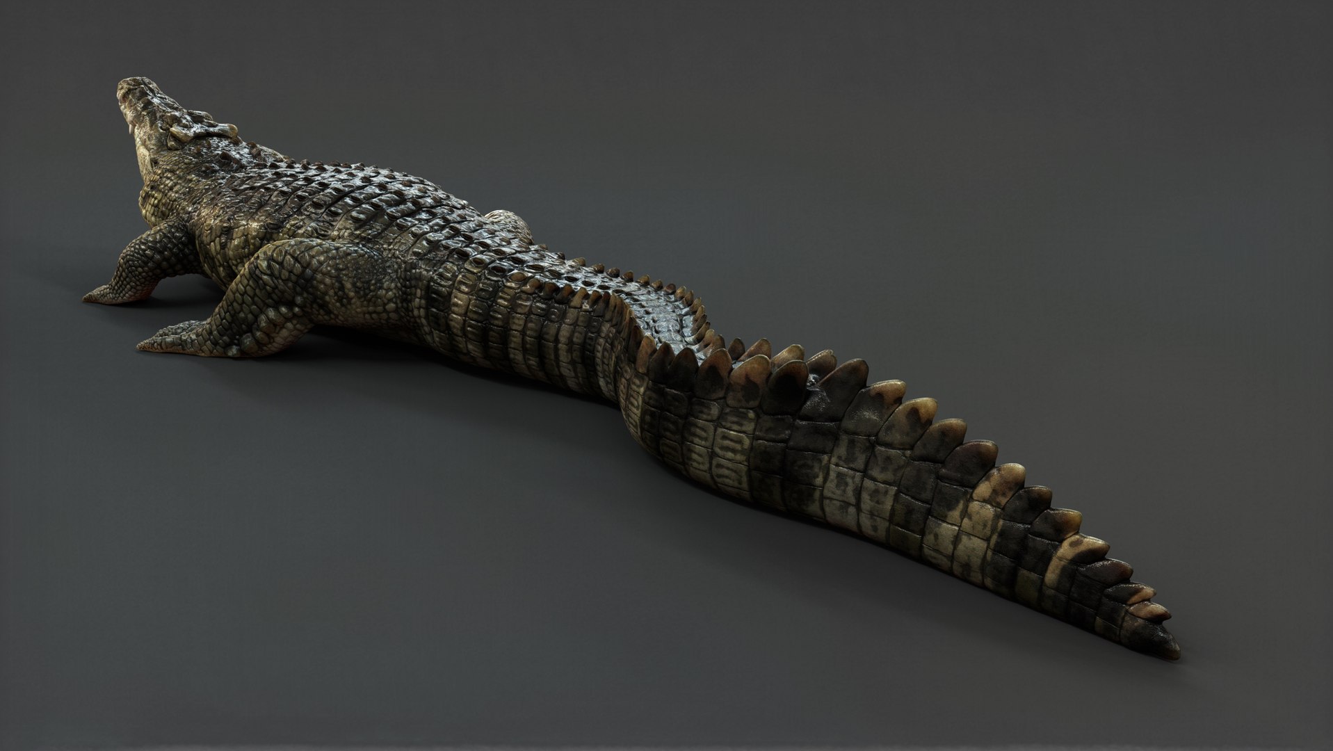 3D Crocodile RIG - TurboSquid 2147869