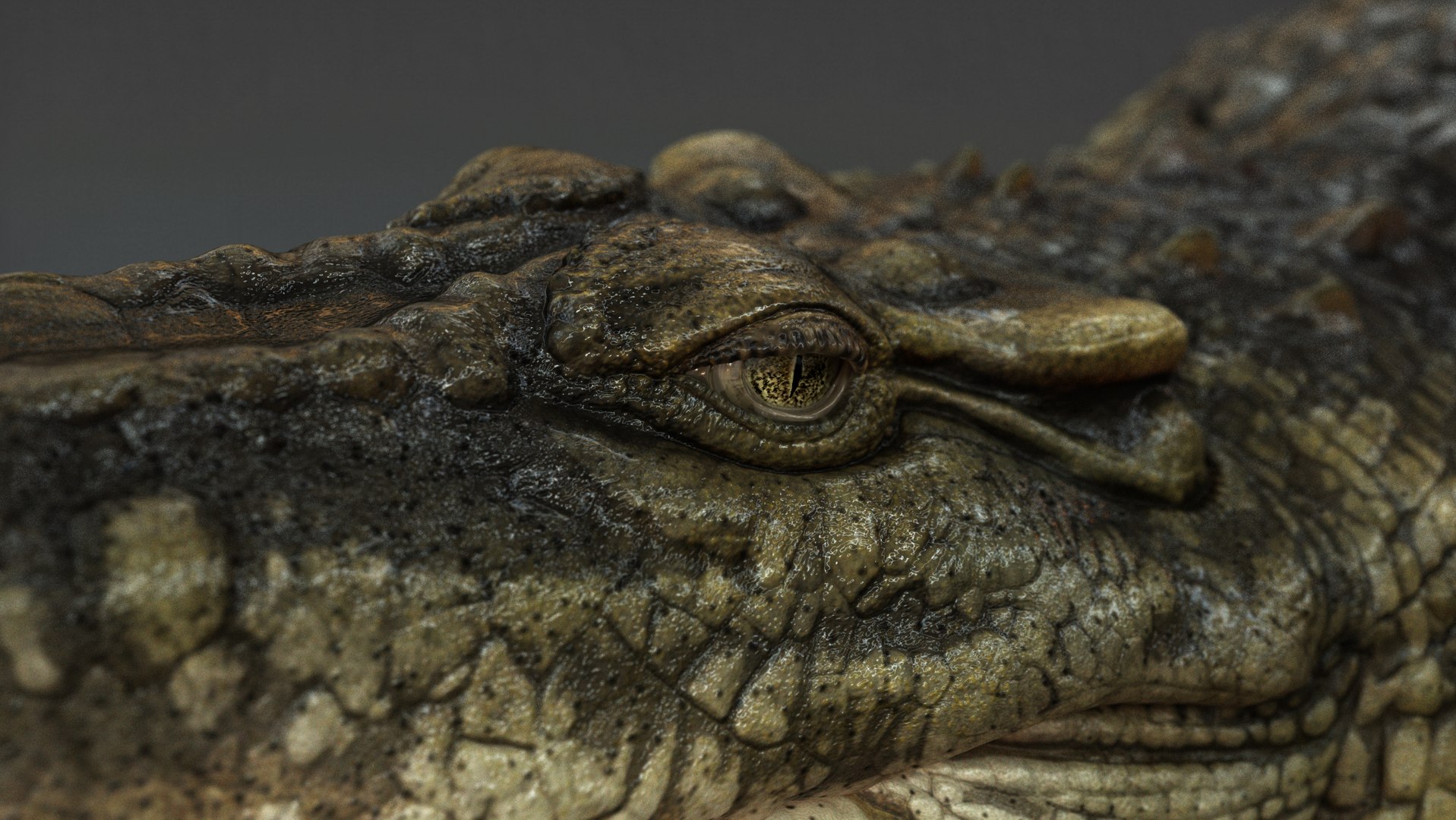 3D Crocodile RIG - TurboSquid 2147869