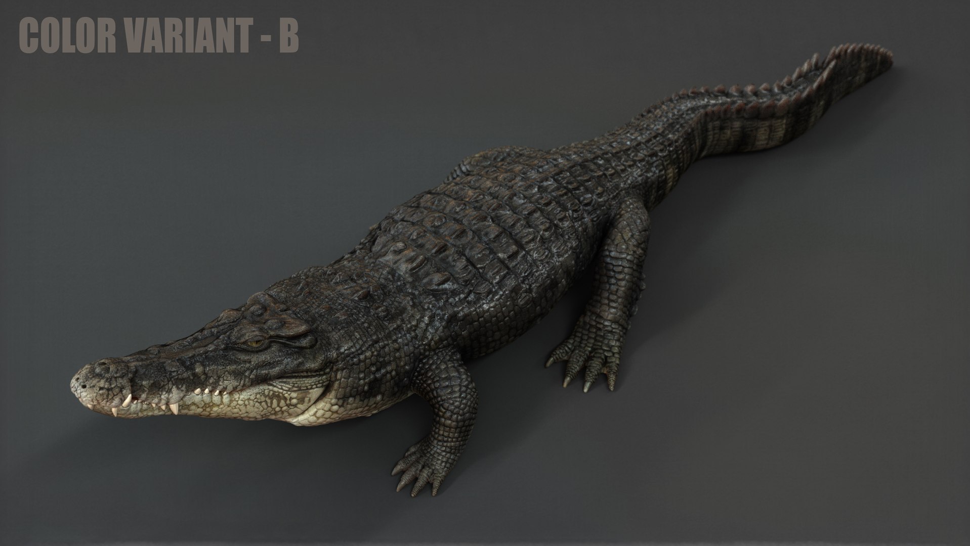 3D Crocodile RIG - TurboSquid 2147869