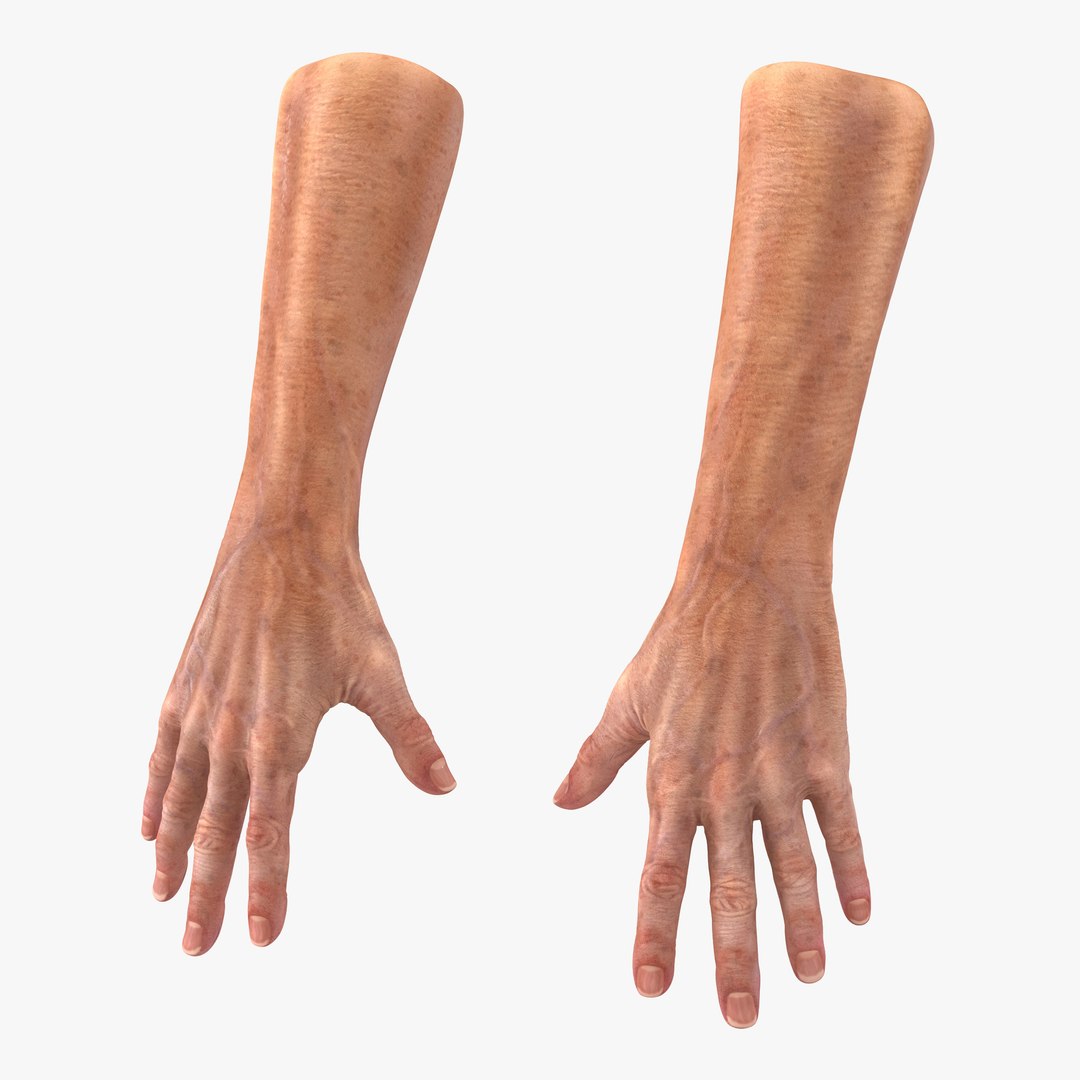 Old Man Hands 2 3D model preview