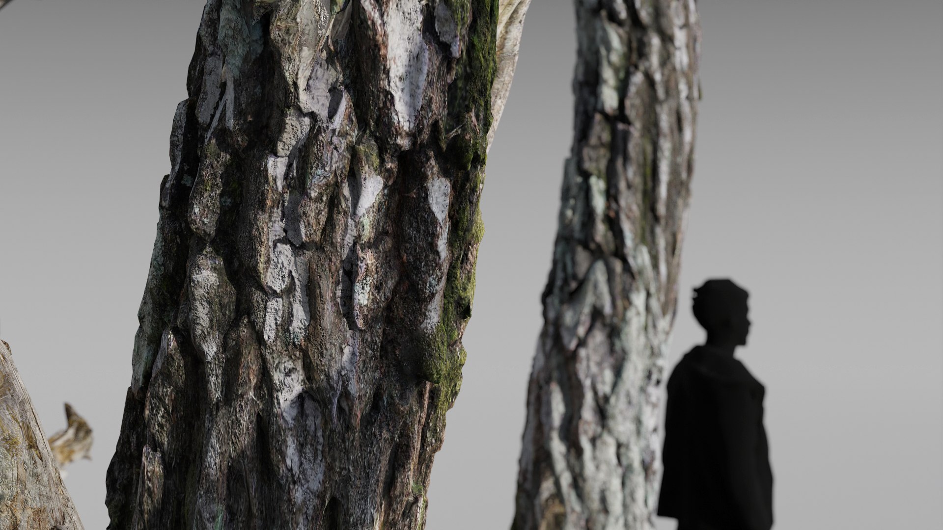 Moss Biome Ground Scatter - 3D AssetKit PBR 3D model https://p.turbosquid.com/ts-thumb/wH/d3YrQO/JT/birches_03/jpg/1649872122/1920x1080/fit_q87/d15a269324c9d9089dc704810a476cc7dd153259/birches_03.jpg