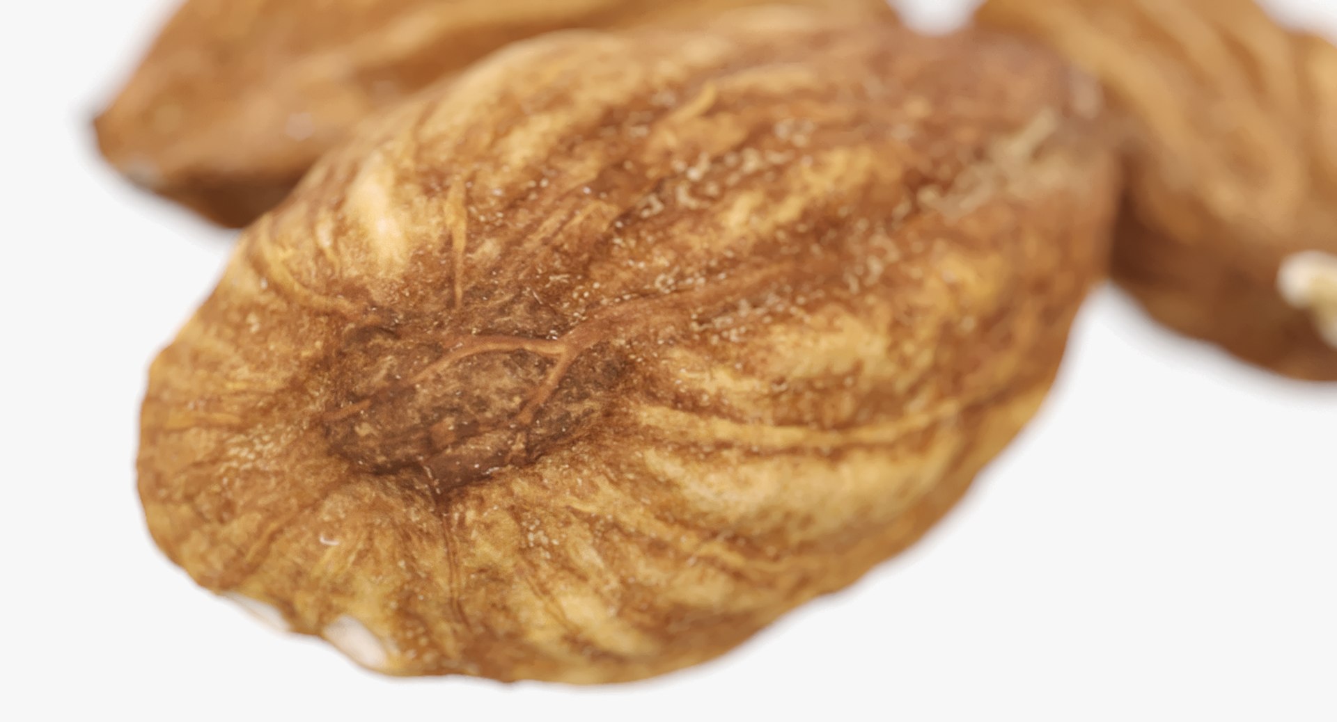 3D Realistic 3 Almonds - TurboSquid 1372162