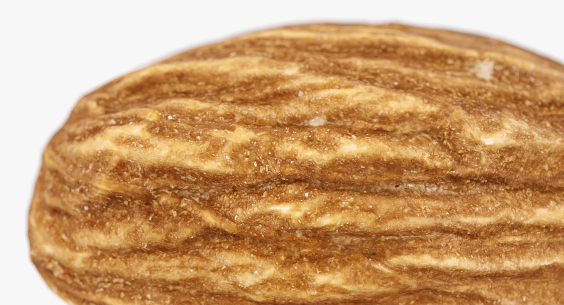 3D Realistic 3 Almonds - TurboSquid 1372162