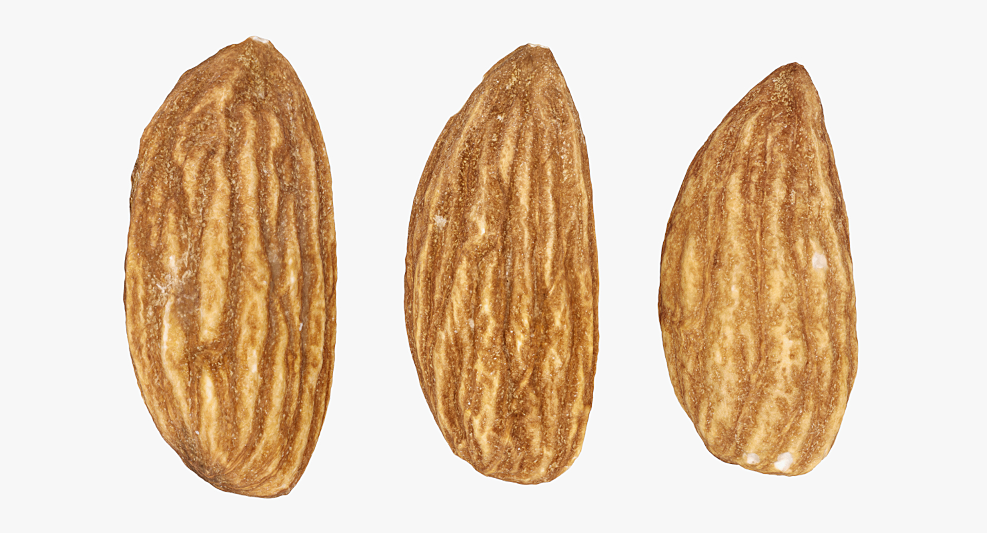 3D Realistic 3 Almonds - TurboSquid 1372162