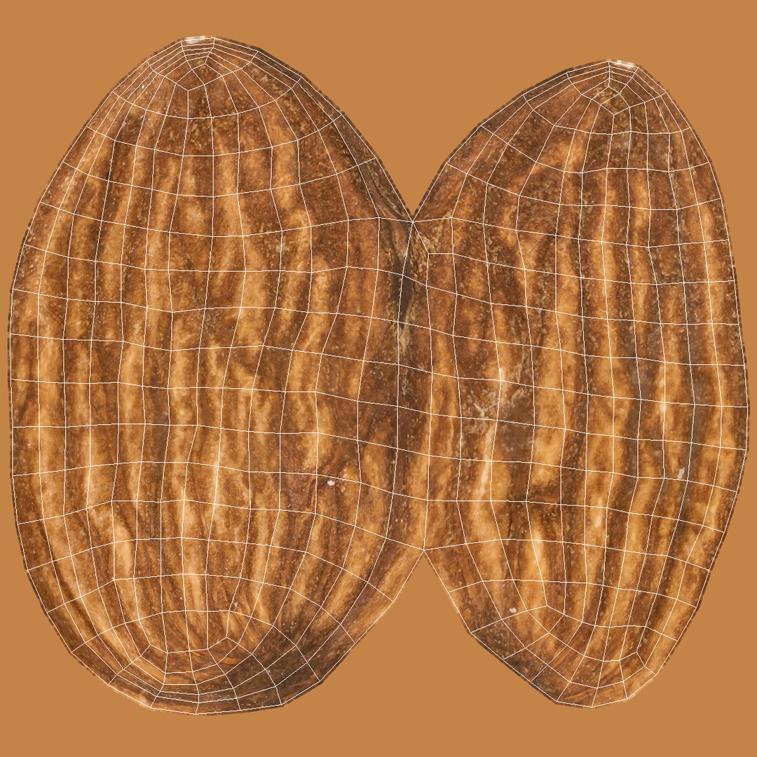 3D Realistic 3 Almonds - TurboSquid 1372162