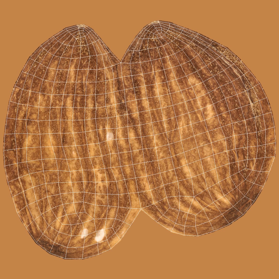 3D Realistic 3 Almonds - TurboSquid 1372162