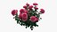 Conjunto de plantas de rosas 21