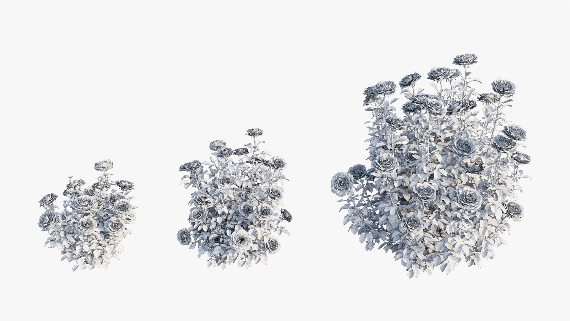 3D model rose plant set 21 https://p.turbosquid.com/ts-thumb/wH/tPO5Pe/LcW3h2Np/15/jpg/1603599617/1920x1080/fit_q87/e6bec4deb86547f4751b40b0a379d1d9d3adcf3a/15.jpg