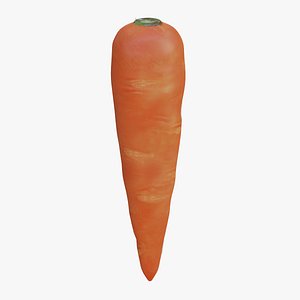 Carrot model