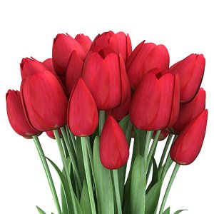 3d tulips vase piece model