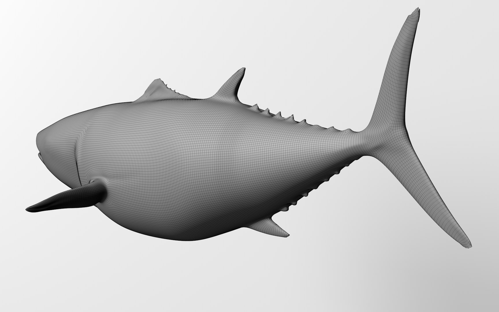 3D TUNA FISH Rigged L1540 https://p.turbosquid.com/ts-thumb/wI/O6XtWa/B3/51_0036/png/1636839663/1920x1080/fit_q87/6bb6da7bc2dbbd339f36ce789c4969f9f5456052/51_0036.jpg