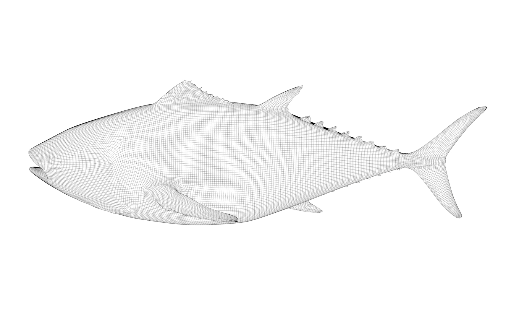 3D TUNA FISH Rigged L1540 https://p.turbosquid.com/ts-thumb/wI/O6XtWa/OR/0000/png/1636843089/1920x1080/turn_fit_q99/c02cb79d4a82c53c09a00b2fdae8e6258c099127/0000-1.jpg
