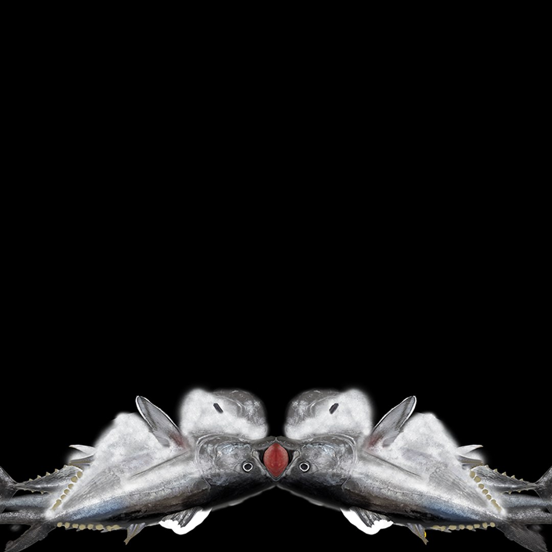 3D TUNA FISH Rigged L1540 https://p.turbosquid.com/ts-thumb/wI/O6XtWa/Sc/uv/png/1636839529/1920x1080/fit_q87/563b90f36c66214406c2c4f6bdce45ca691c161c/uv.jpg