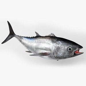 TUNA FISH Rigged L1540