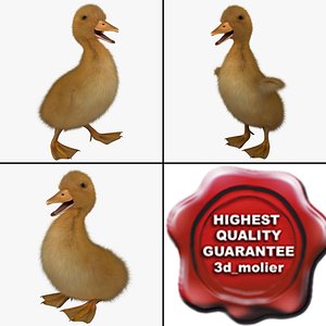 3d max duckling pose