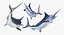 Blue Marlin Pose 2