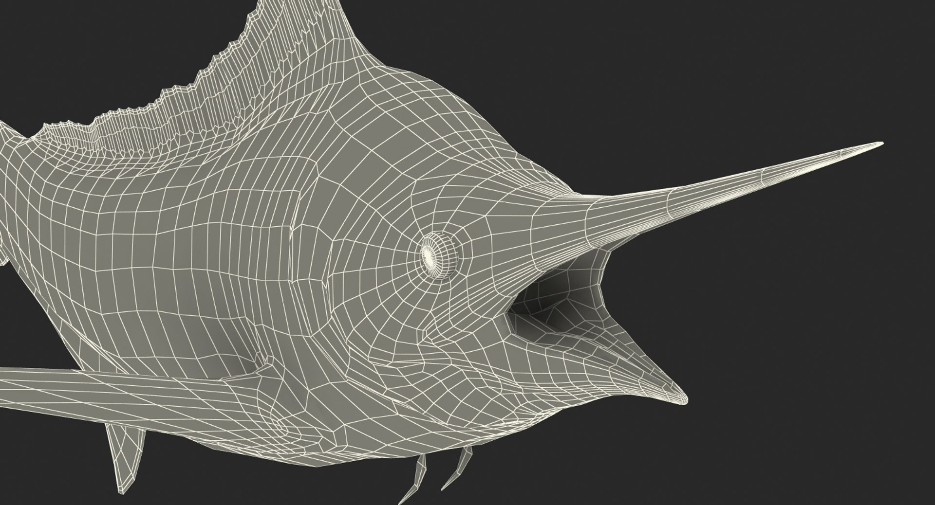 blue marlin pose 2 max https://p.turbosquid.com/ts-thumb/wI/fcqQM5/izSKlFOC/bluemarlinmb3dmodel22/jpg/1474312585/1920x1080/fit_q87/0576adf9898b8fd7dfc887bd3d587cb1d0ddea33/bluemarlinmb3dmodel22.jpg