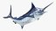 Blue Marlin Pose 2