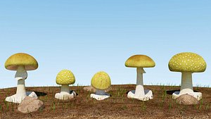 MushroomDeath Cap Amanita