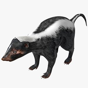 Skunk Rigged