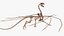Scheletro di drago fossilizzato truccato per Maya