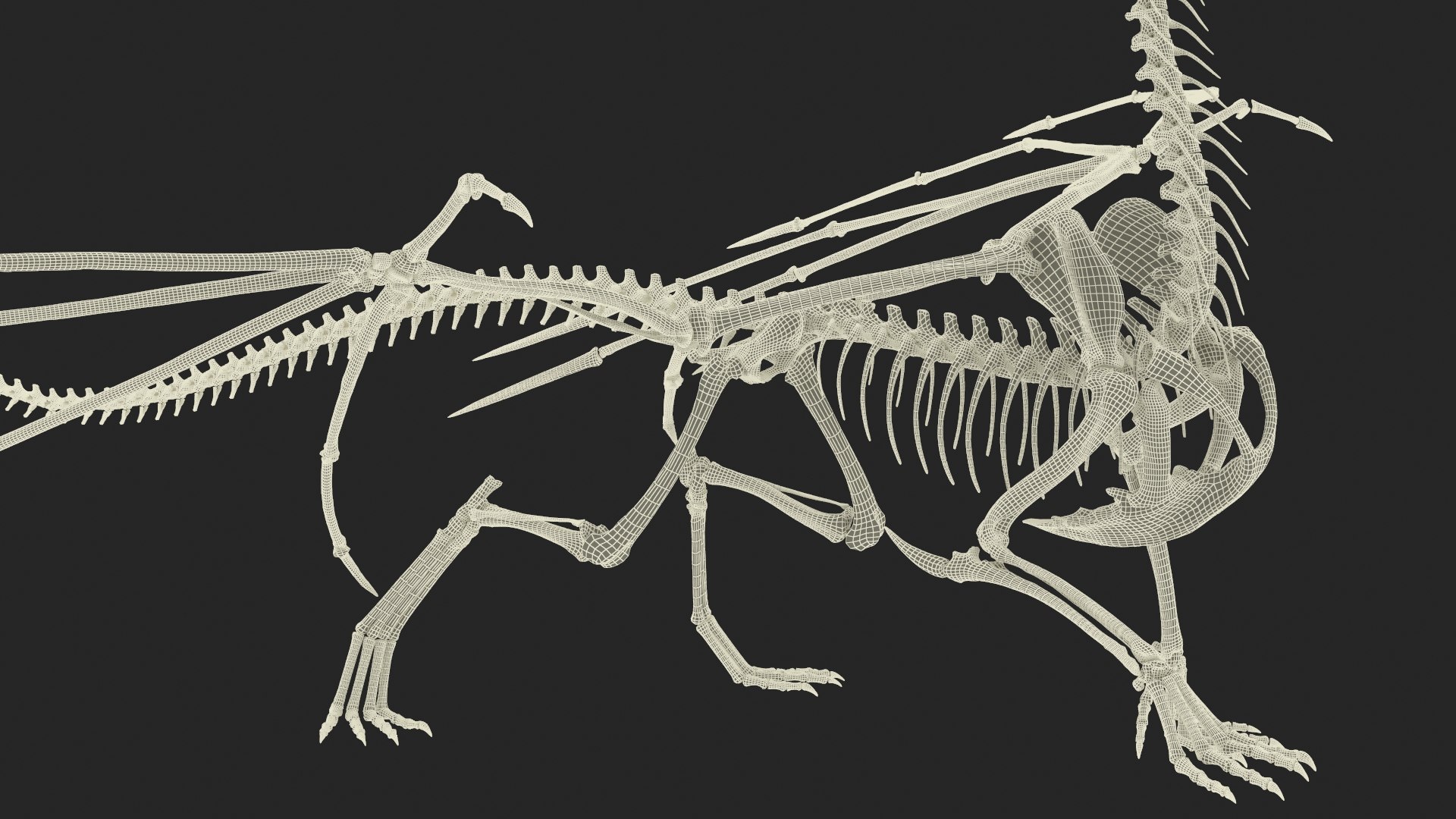 Fossilized Dragon Skeleton Rigged for Maya 3D model https://p.turbosquid.com/ts-thumb/wJ/7AWeip/tk/fossilized_dragon_skeleton_rigged_032/jpg/1750112275/1920x1080/fit_q87/4a73d450396826a435bb108eddd5ea5a38b22eaa/fossilized_dragon_skeleton_rigged_032.jpg