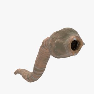 3D worm fantasy model