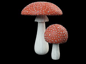 amanita mushroom