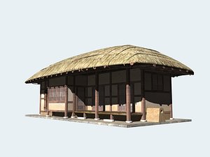 Thatched House V01 KOREA
