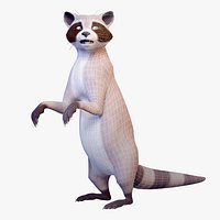 Stylized Raccoon