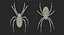 Argiope Aurantia Spider equipado com peles