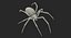 Argiope Aurantia Spider equipado com peles