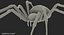 Argiope Aurantia Spider equipado com peles