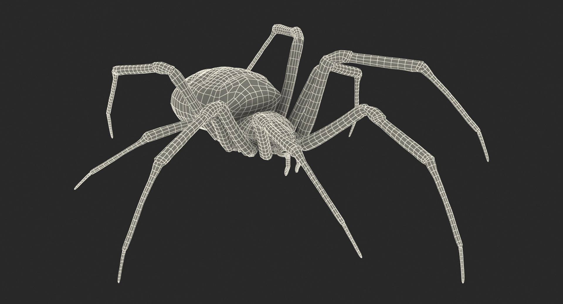 3D argiope aurantia spider rigged model https://p.turbosquid.com/ts-thumb/wJ/ZCzjIO/ORovKA4k/argiopeaurantiaspiderriggedwithfurc4dmodel020/jpg/1503992061/1920x1080/fit_q87/da1cc7fab8faf6640f0384c9447a59db113724b7/argiopeaurantiaspiderriggedwithfurc4dmodel020.jpg