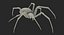 Argiope Aurantia Spider equipado com peles
