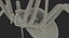 Argiope Aurantia Spider equipado com peles