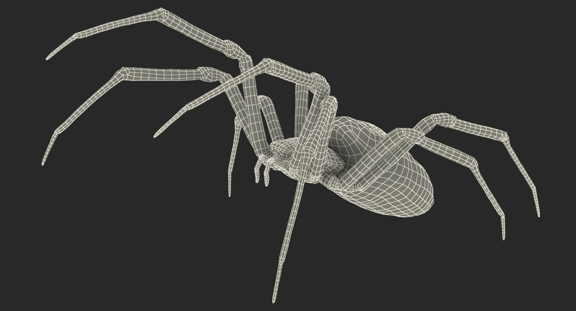 3D argiope aurantia spider rigged model https://p.turbosquid.com/ts-thumb/wJ/ZCzjIO/WeRv2EvZ/argiopeaurantiaspiderriggedwithfurc4dmodel018/jpg/1503992061/1920x1080/fit_q87/9de6b7eee7b7e551e67fbb2194c210a2d3f7de95/argiopeaurantiaspiderriggedwithfurc4dmodel018.jpg