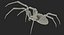 Argiope Aurantia Spider equipado com peles