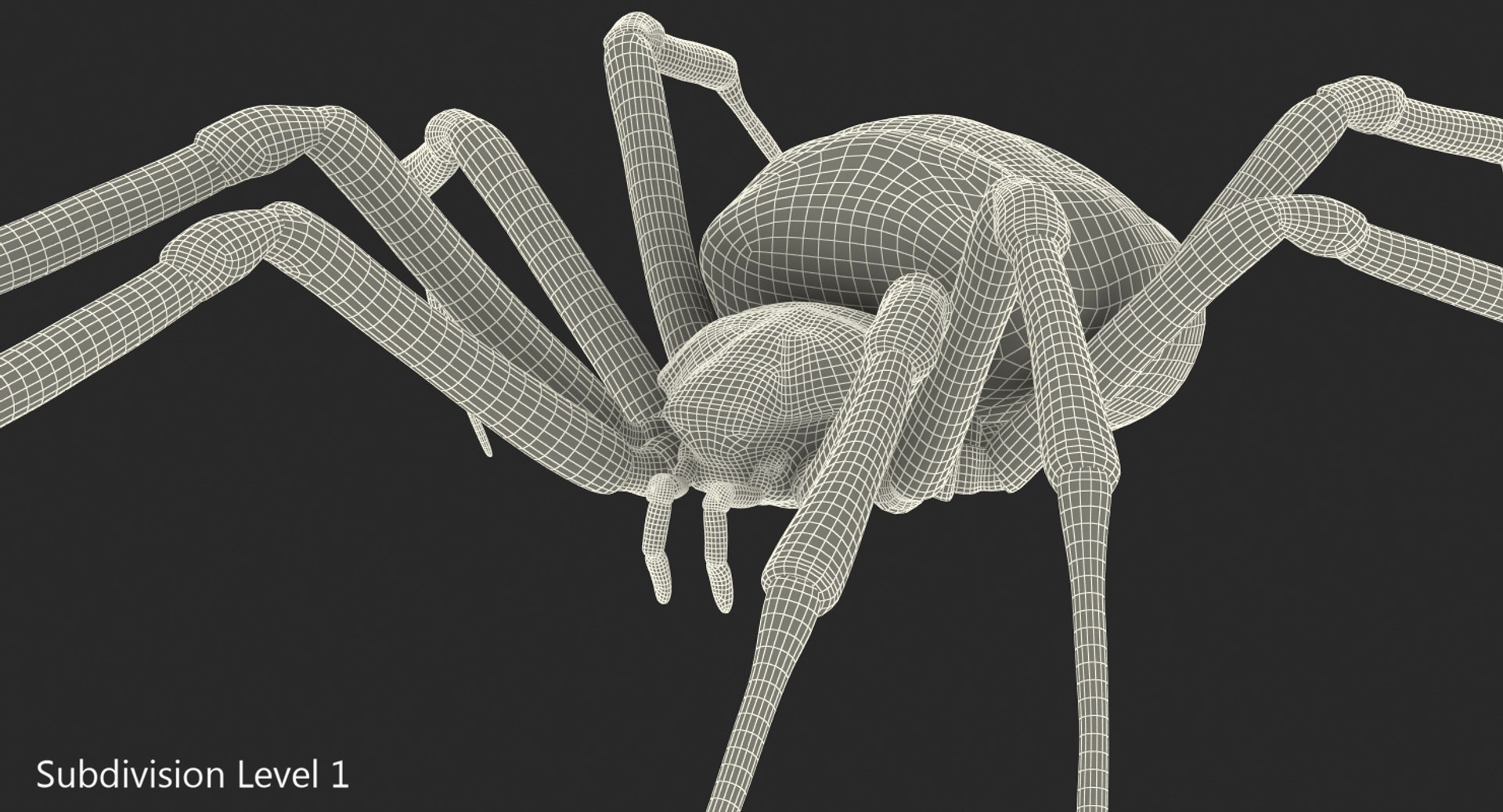 3D argiope aurantia spider rigged model https://p.turbosquid.com/ts-thumb/wJ/ZCzjIO/cS5kZ7q3/argiopeaurantiaspiderriggedwithfurc4dmodel012/jpg/1503992061/1920x1080/fit_q87/d82f05656f8f0bb9c526fab0636eb6fd269f7408/argiopeaurantiaspiderriggedwithfurc4dmodel012.jpg