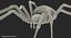 Argiope Aurantia Spider equipado com peles