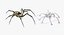 Argiope Aurantia Spider equipado com peles