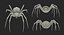 Argiope Aurantia Spider equipado com peles
