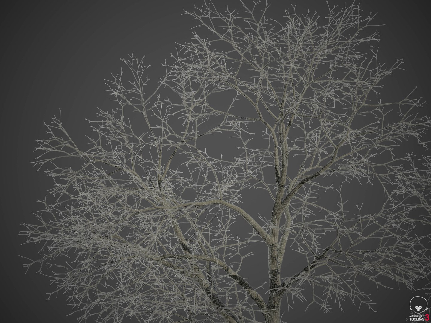 Xfrogplants Norway Maple - Acer Platanoides 3d Model - Turbosquid 1719368